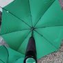 2 new Umbrella Image 3