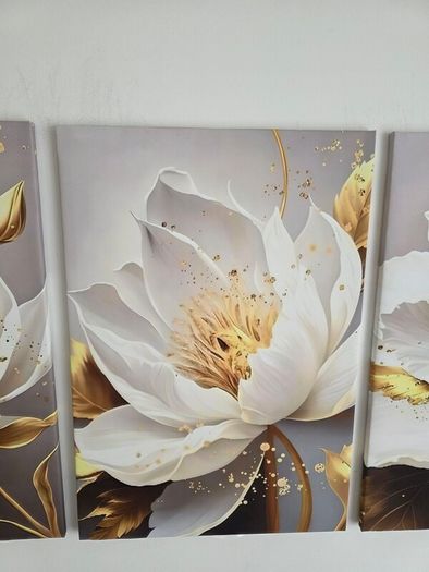 Set of 3 framed canvas