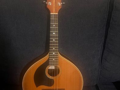 Joe Foley Mandolin For Sale in Ashtown, Dublin from dufjoe