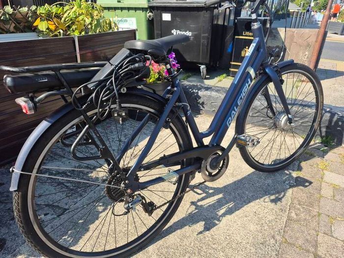 Raleigh Electric Bike