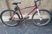 bike  kids needs fixing