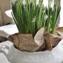 ShabbyChic Old Vintage Display Piece.. Image 9