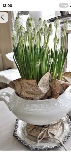 ShabbyChic Old Vintage Display Piece..