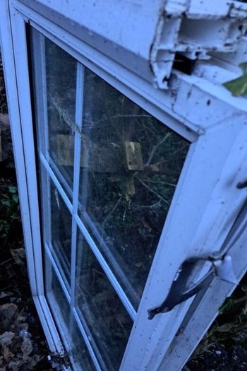 Window