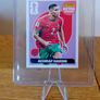Panini World Cup Stickers Image 3