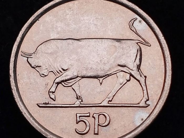 Ireland - 2000 - 5 Pence - Bull - UNC - KM.28 - [2586]