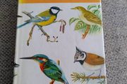 Birds in Colour by Bruce Campbell 1974 hardback with dustcover in good condition with some signs of wear on the dustcover see photos over 200 colour illustrations FREE STANDARD POSTAGE INCLUDED