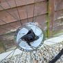 Fulcrum racing 77 wheelset Image 2