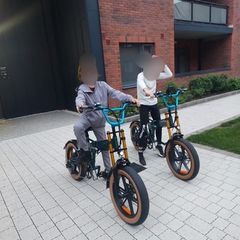 Fido electric bike