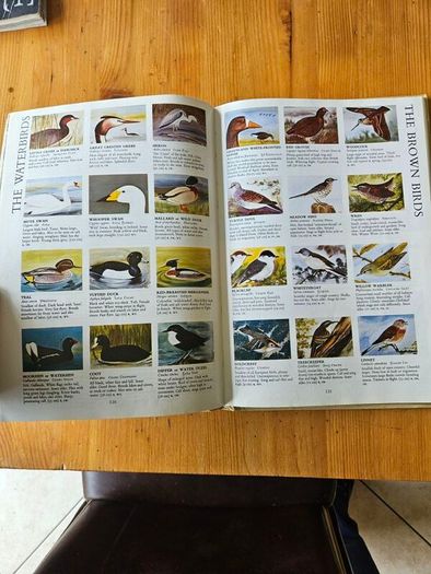 The Irish Wildlife Book. Edited By Fergus O'gorman. Illustrated By Gerrit Van Gelderen, Eamon De Buitlear And Richard Mills. First Edition Large Volume Hardback In Good Condition.