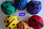 Ladybird Bean Bags (6)