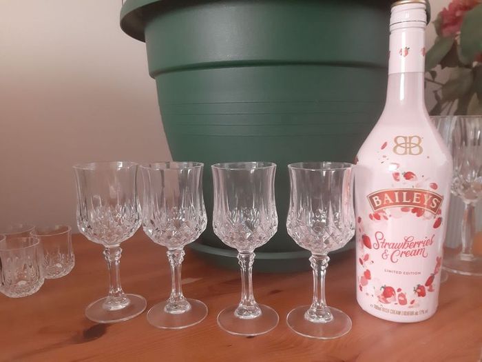 Cristal D'Arques wine glasses