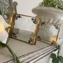 ShabbyChic  Long Velvet feel to touch roses and Frames free Image 6