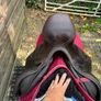Prestige Saddle Image 2