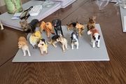 Dog collection plastic