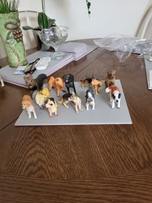 Dog collection plastic