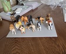 Dog collection plastic