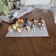 Dog collection plastic