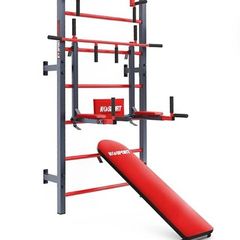 Sweedish bars - home gym