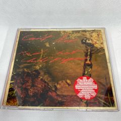 Red Hot Chili Peppers - Can't Stop (CD 1)