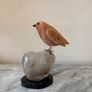 Hand-Carved Gemstone European Robin on Polished Quartz Base Image 9
