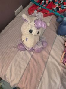 teddy