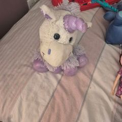 teddy