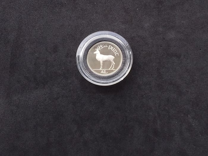 Official Irish Cupro-Nickel Proof, One Pound Coin - Boxed with Certificate