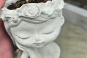 Handmade Cement Planters with Live Plants
