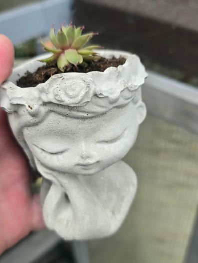 Handmade Cement Planters with Live Plants
