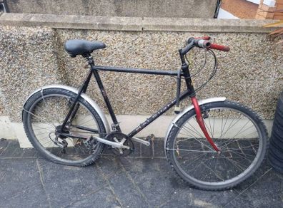 Raleigh bike needs fixing