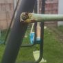 swing Image 3