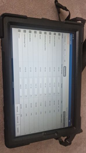 diagzone Pro diagnostic