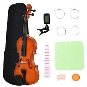 4/4 Full Size Violin Set - Orange