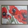'Poppies' - Watercolour by Pauline Doyle Image 2