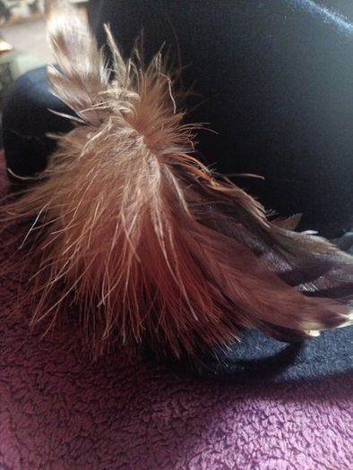 felt feather hat
