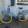 Gazelle NL Image 2