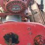 Jacobsen 22 Greens Mower Honda GX120 Engine RepairRestoration Image 2
