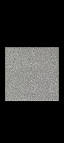 Carpet New