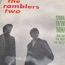Large vinyl 7" lot irish irish scene Image 7