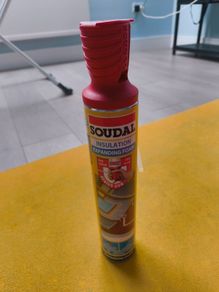 Insulation Foam Hand-Held 750ml