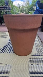 Terracotta pot