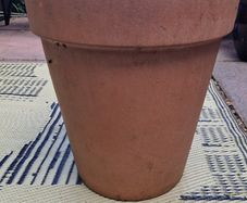 Terracotta pot