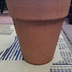 Terracotta pot