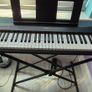 Yamaha Piaggero NP-12 Keyboard + Stand + Adapter Image 3