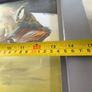 Lovely Oil On Canave Framed Picture Of Cat Signed Paul Downer. Image 7