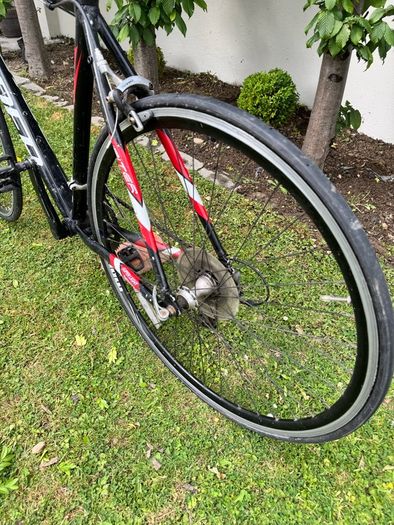 Spider Road Bike