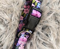 Floral Adjustable Pet dog cat Collar