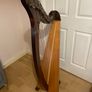 Salvi Donegal Walnut Harp Image 2