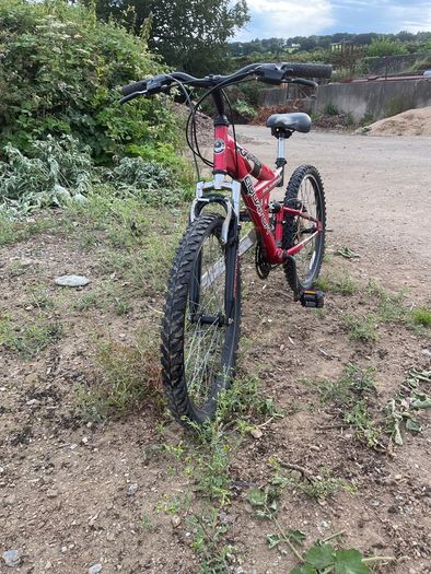 Mountain bike